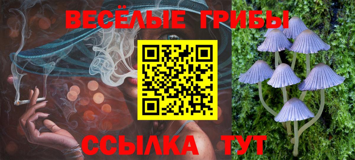 Псилоцибиновые грибы Cubensis  Вход с VPN  Пыть-Ях 